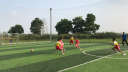 IMG_2137.PNG - 