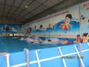IMG_0080nhoJPG.jpg - 