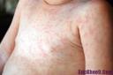 6.jpeg - 